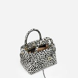 Le Cambon 20 Dalmatian